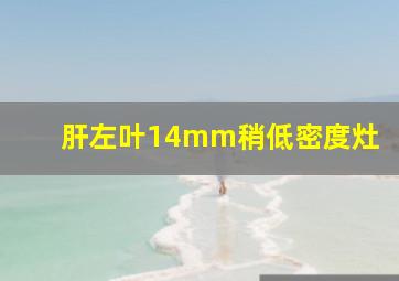 肝左叶14mm稍低密度灶