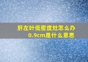 肝左叶低密度灶怎么办0.9cm是什么意思