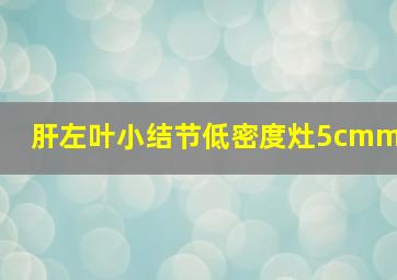 肝左叶小结节低密度灶5cmm