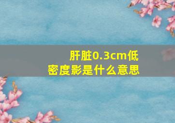 肝脏0.3cm低密度影是什么意思