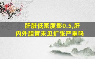 肝脏低密度影0.5,肝内外胆管未见扩张严重吗