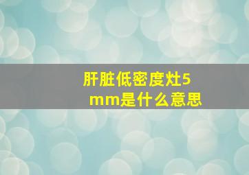 肝脏低密度灶5mm是什么意思