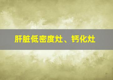 肝脏低密度灶、钙化灶