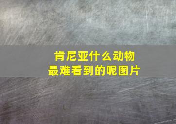 肯尼亚什么动物最难看到的呢图片