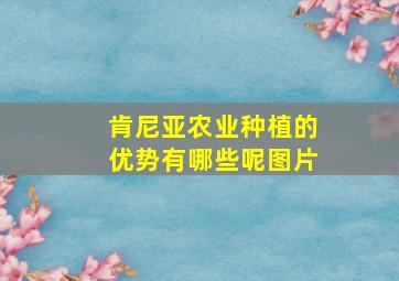 肯尼亚农业种植的优势有哪些呢图片