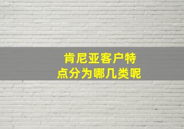 肯尼亚客户特点分为哪几类呢