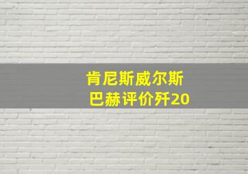 肯尼斯威尔斯巴赫评价歼20