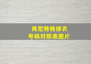 肯尼特特球衣号码对照表图片