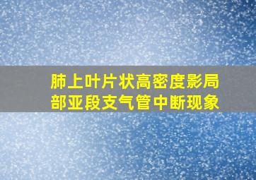 肺上叶片状高密度影局部亚段支气管中断现象