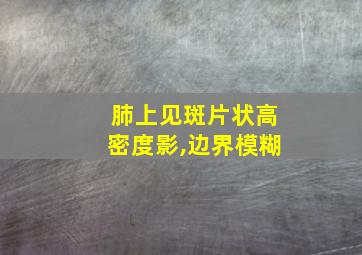 肺上见斑片状高密度影,边界模糊