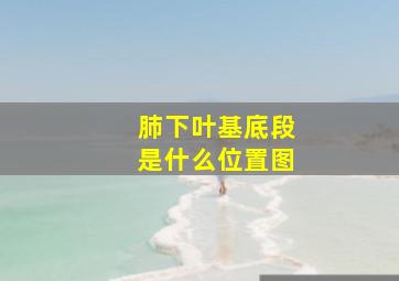 肺下叶基底段是什么位置图