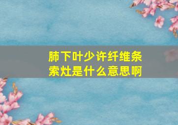 肺下叶少许纤维条索灶是什么意思啊