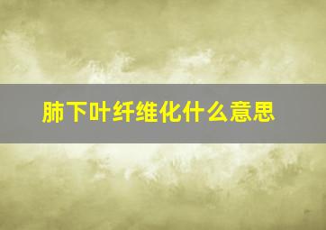 肺下叶纤维化什么意思