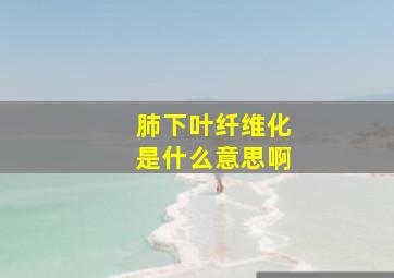 肺下叶纤维化是什么意思啊