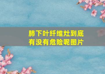 肺下叶纤维灶到底有没有危险呢图片