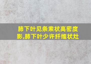 肺下叶见条索状高密度影,肺下叶少许纤维状灶