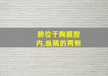 肺位于胸膜腔内,纵隔的两侧