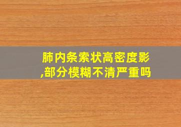 肺内条索状高密度影,部分模糊不清严重吗