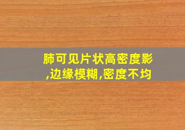 肺可见片状高密度影,边缘模糊,密度不均