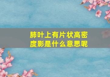 肺叶上有片状高密度影是什么意思呢