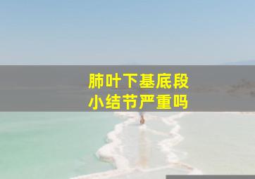 肺叶下基底段小结节严重吗