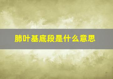 肺叶基底段是什么意思