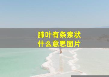 肺叶有条索状什么意思图片