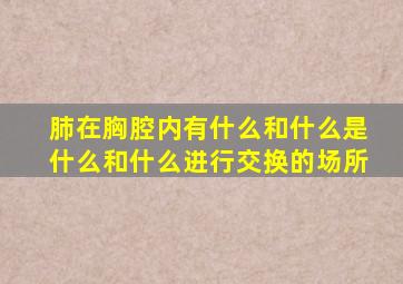 肺在胸腔内有什么和什么是什么和什么进行交换的场所