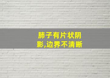 肺子有片状阴影,边界不清晰