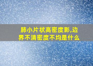 肺小片状高密度影,边界不清密度不均是什么