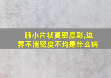 肺小片状高密度影,边界不清密度不均是什么病