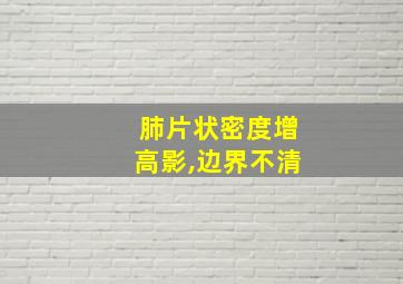 肺片状密度增高影,边界不清