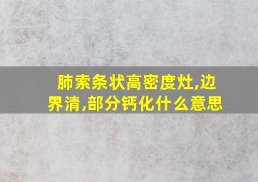 肺索条状高密度灶,边界清,部分钙化什么意思