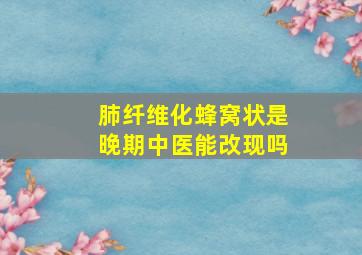 肺纤维化蜂窝状是晚期中医能改现吗