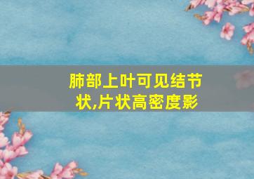 肺部上叶可见结节状,片状高密度影