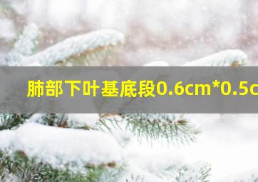 肺部下叶基底段0.6cm*0.5cm