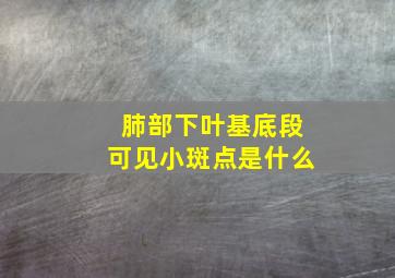 肺部下叶基底段可见小斑点是什么