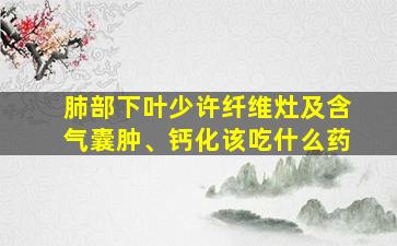 肺部下叶少许纤维灶及含气囊肿、钙化该吃什么药