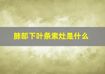 肺部下叶条索灶是什么