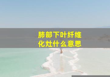 肺部下叶纤维化灶什么意思