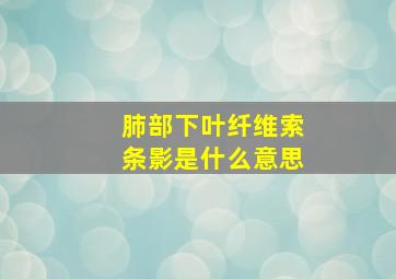 肺部下叶纤维索条影是什么意思