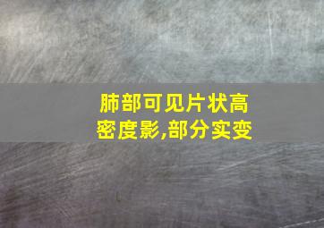 肺部可见片状高密度影,部分实变