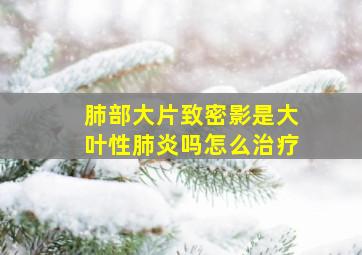 肺部大片致密影是大叶性肺炎吗怎么治疗