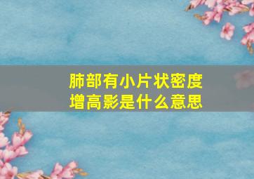 肺部有小片状密度增高影是什么意思