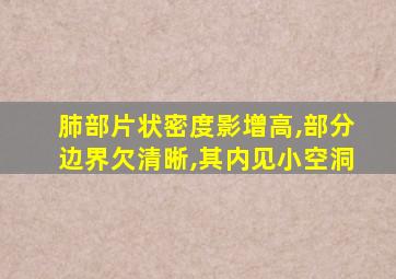 肺部片状密度影增高,部分边界欠清晰,其内见小空洞