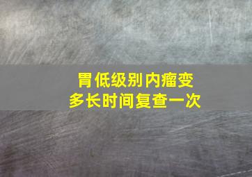 胃低级别内瘤变多长时间复查一次