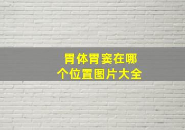 胃体胃窦在哪个位置图片大全