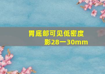 胃底部可见低密度影28一30mm