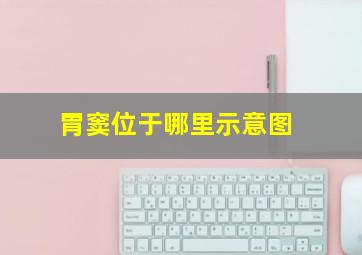 胃窦位于哪里示意图