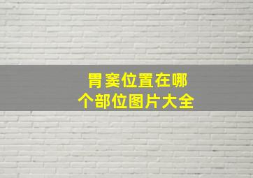 胃窦位置在哪个部位图片大全